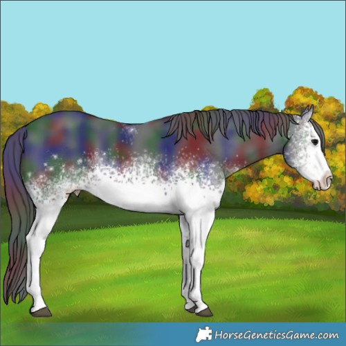 Horse Color:Nacre White Spotted Black 