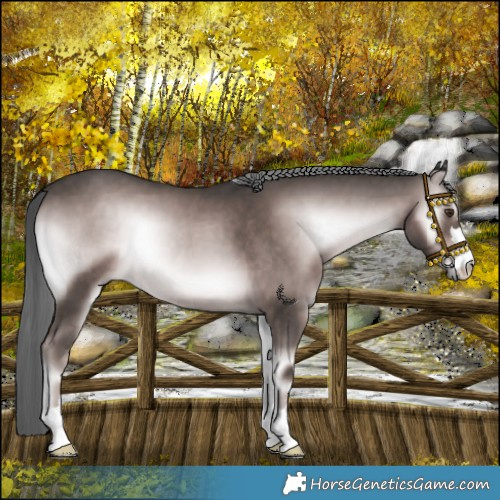 Horse Color:Platinum Liver Red Onyx Mushroom