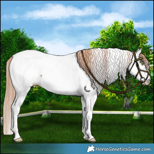 Horse Color:White Spotted Liver Chestnut Pearl Near Fewspot 