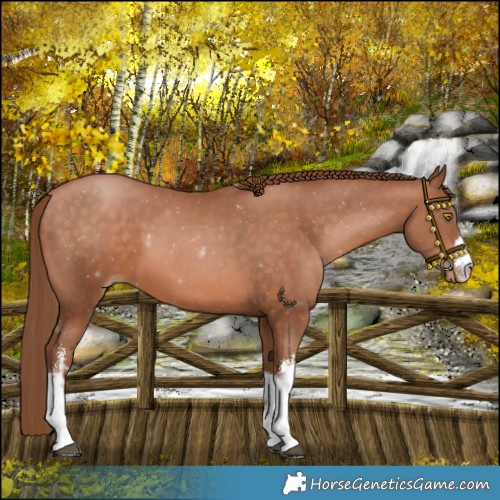 Horse Color:White Spotted Chocolate Bay Pearl 