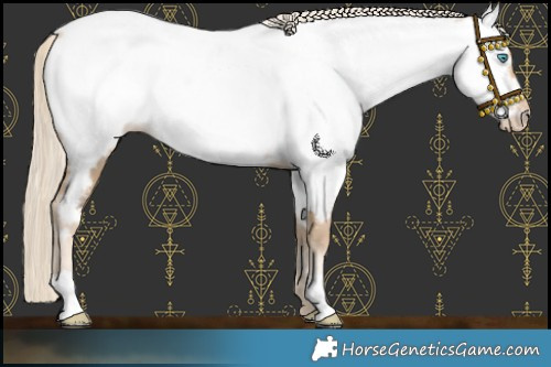 Horse Color:Chocolate Palomino Pearl Near Fewspot 