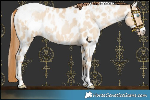 Horse Color:White Spotted Smoky Grullo Pearl Near Leopard 