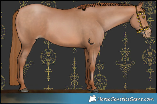 Horse Color:Bay Pearl 