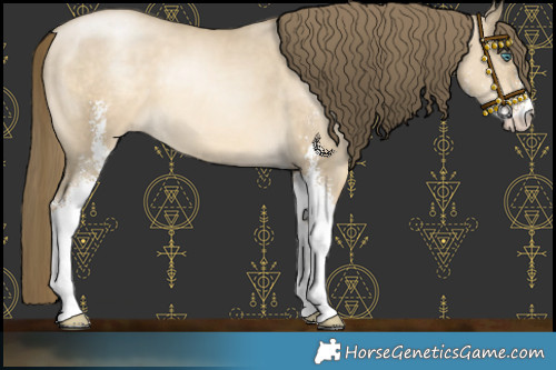 Horse Color:Chocolate Smoky Grullo Pearl Sabino