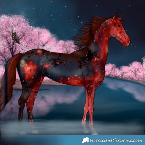 Horse Color:ERROR: UNKNOWN ANOMALY