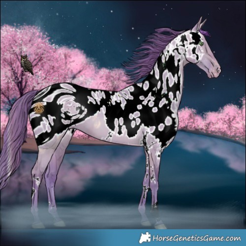 Horse Color:ERROR: UNKNOWN ANOMALY