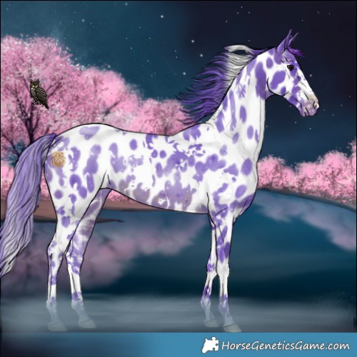 Horse Color:Watercolor White Spotted Brown Appaloosa 