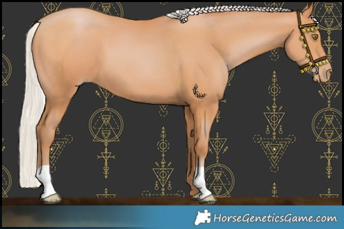 Horse Color:Silver Bay Pearl 