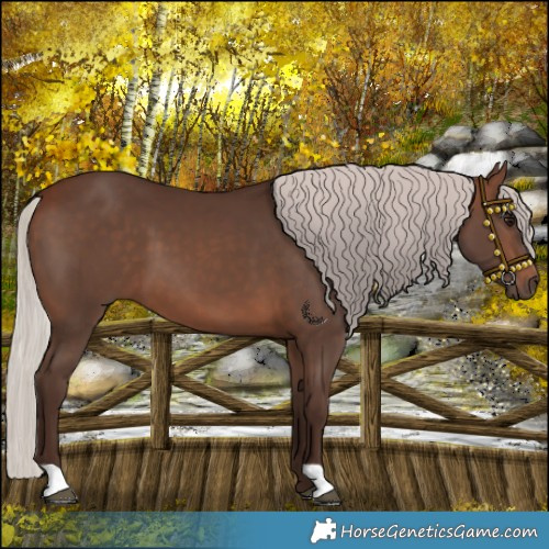 Horse Color:Silver Brown