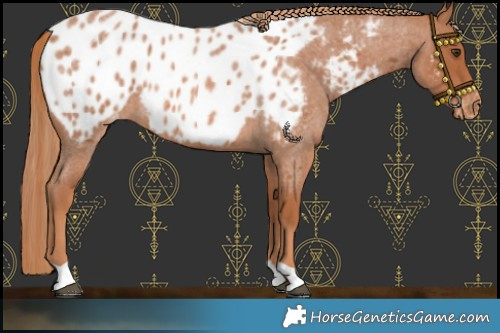 Horse Color:Red Roan Blanket 