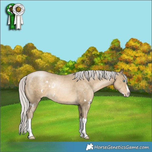 Horse Color:White Spotted Silver Smoky Black Pearl Splash Appaloosa 
