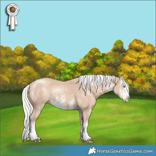 Horse Color:White Spotted Silver Smoky Creme Splash Appaloosa