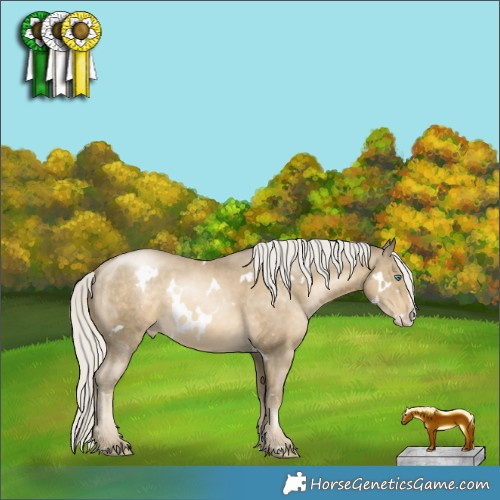 Horse Color:White Spotted Silver Smoky Black Pearl Splash Appaloosa 