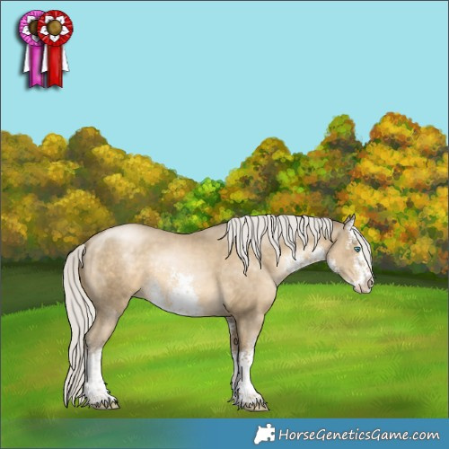 Horse Color:White Spotted Silver Smoky Black Pearl Splash 