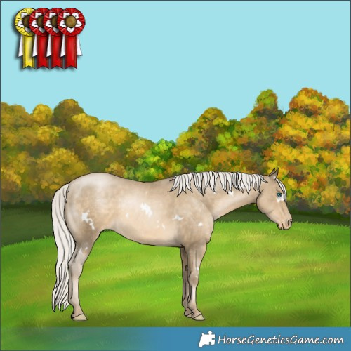 Horse Color:White Spotted Silver Smoky Black Pearl Appaloosa 