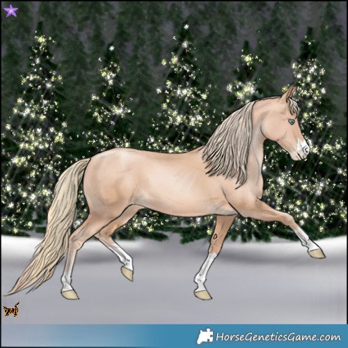 Horse Color:Gold Champagne Pearl Rabicano and Gold Champagne Pearl Rabicano