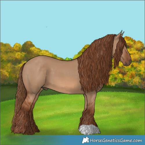 Horse Color:Red Dun 