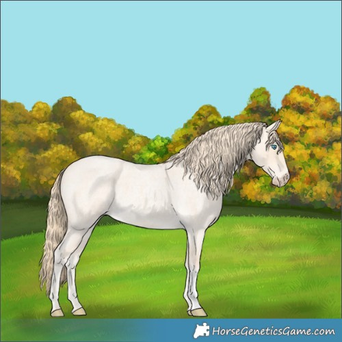 Horse Color:Perlino Roan 