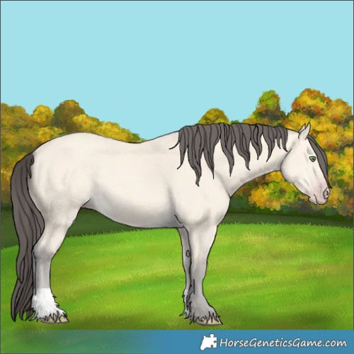 Horse Color:Amber Cream Champagne 