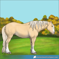 Horse Color:Gold Cream Champagne 