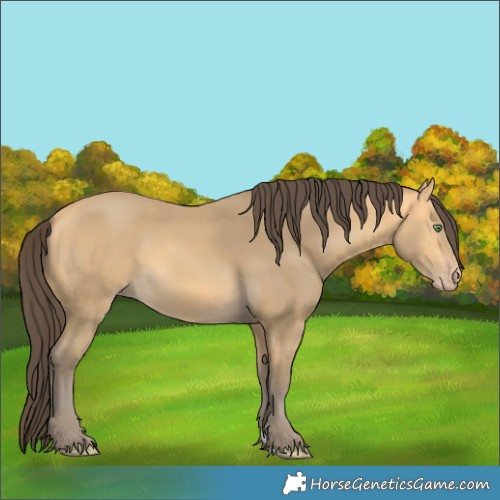 Horse Color:Amber Cream Champagne 