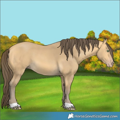 Horse Color:Amber Cream Champagne 