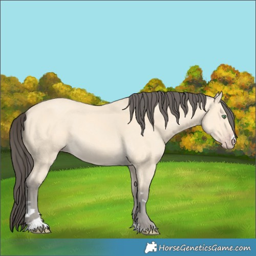 Horse Color:Amber Cream Champagne