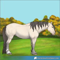 Horse Color:Amber Cream Champagne