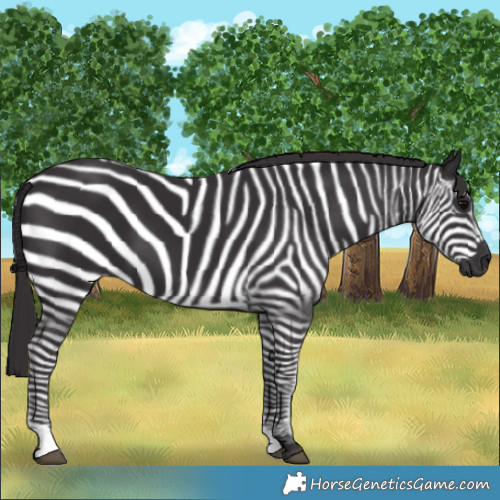 Horse Color:Smoky Black