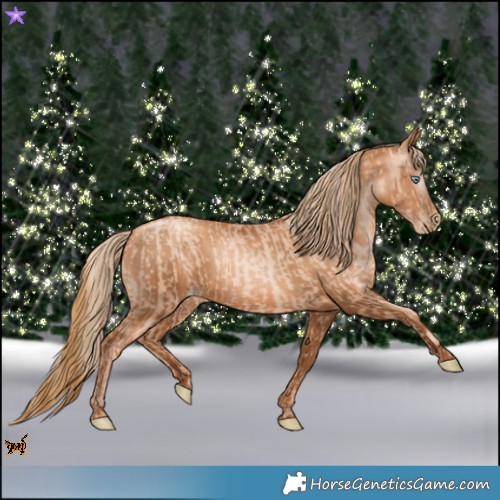 Horse Color:Gold Champagne Pearl Rabicano and Gray Gold Champagne Pearl Rabicano