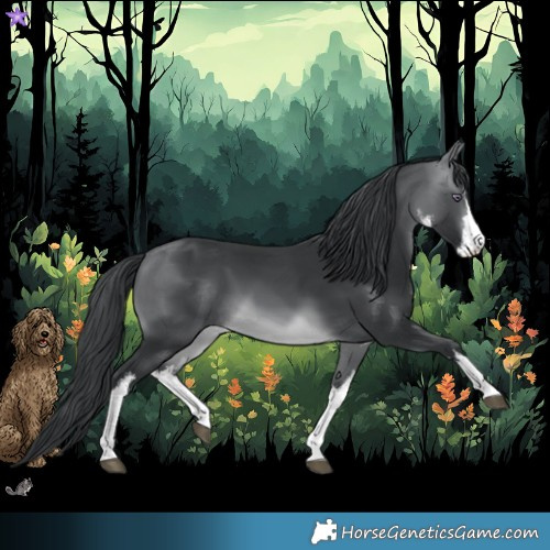 Horse Color:White Spotted Brown Chinchilla