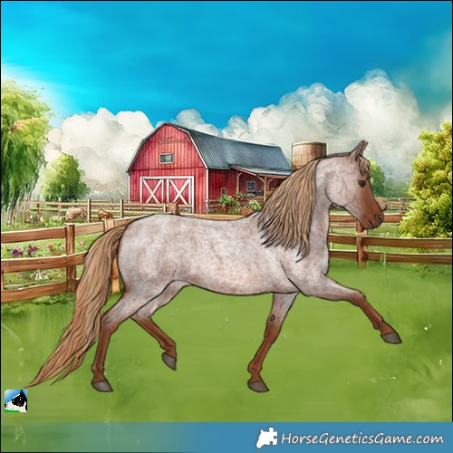 Horse Color:Red Roan