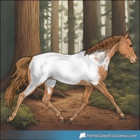 Horse Color:Chestnut Near Fewspot 