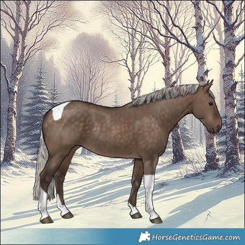 Horse Color:Silver Brown Dun Tobiano Rabicano 