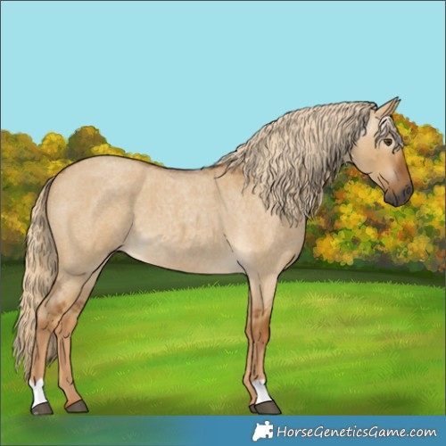 Horse Color:Gray Palomino Roan Dun 