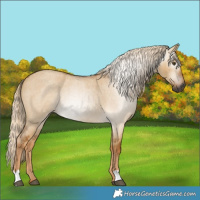 Horse Color:Gray Palomino Roan Dun