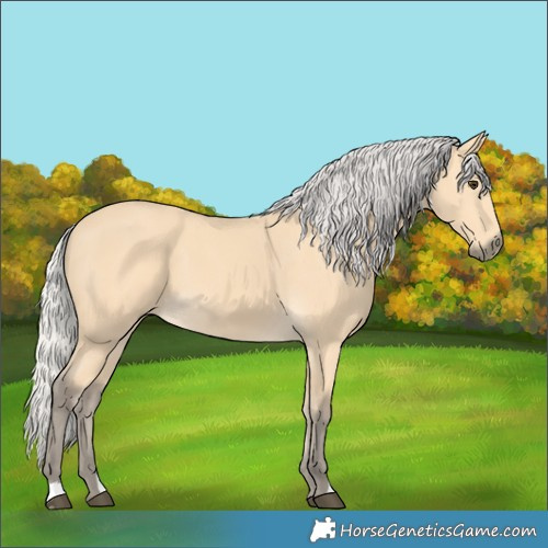 Horse Color:Silver Buckskin 