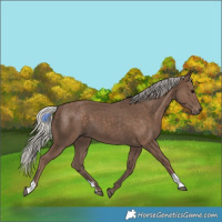 Horse Color:Silver Black 