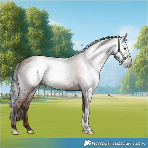 Horse Color:Gray Classic Champagne Tobiano