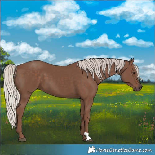 Horse Color:Silver Black 