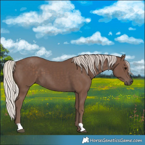 Horse Color:Silver Black