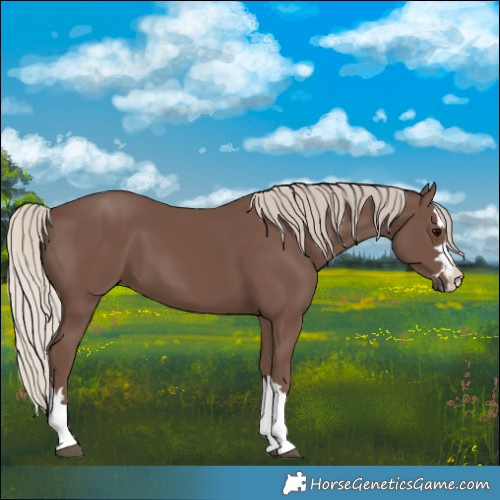 Horse Color:Silver Black 