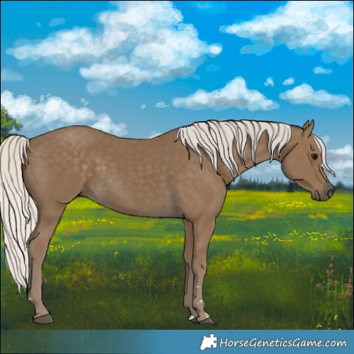 Horse Color:Silver Smoky Black 