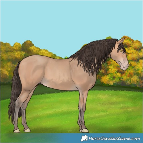 Horse Color:Amber Champagne 