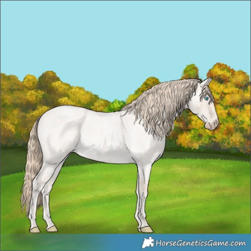 Horse Color:Smoky Creme Roan Dun 