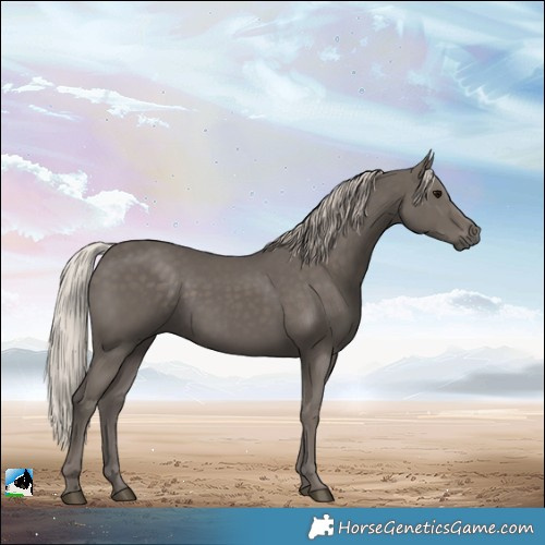Horse Color:Silver Black 