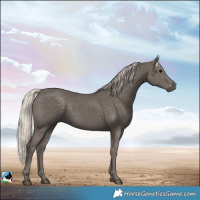 Horse Color:Silver Black 