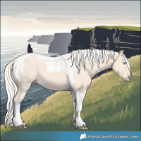 Horse Color:Cremello Tobiano