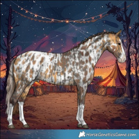 Horse Color:Grullo Splash Blanket  and Chocolate Buckskin Splash Near Leopard 