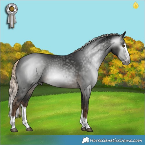 Horse Color:Gray Pseudo Chocolate Palomino Splash 